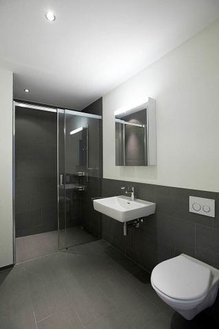 Pear trees – close-up view of the natural city - Foto 2