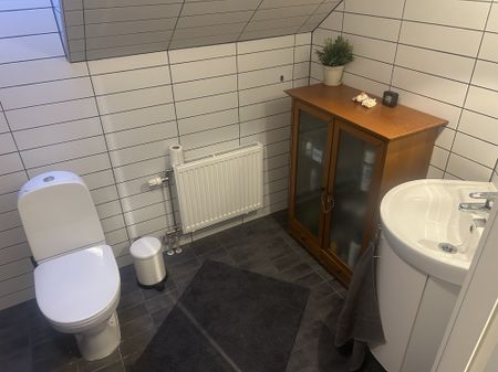 Skogsflyvägen, Åled - Photo 4