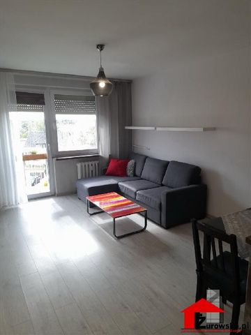 Mieszkanie opolskie Strzelce Opolskie powierzchnia 34.5 m² C240-WM-43254 - Zdjęcie 5