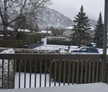 Mont-Saint-Hilaire - Condo 4 1/2 avec foyer à louer - Photo 2