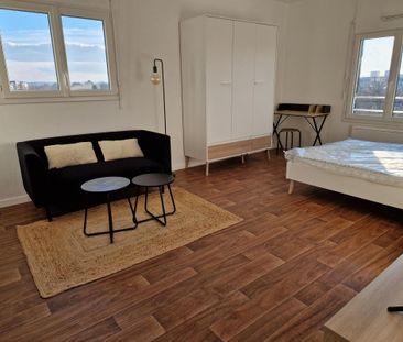 Location Appartement 1 pièce Meublé 28m² ANGERS 49100 - Photo 1