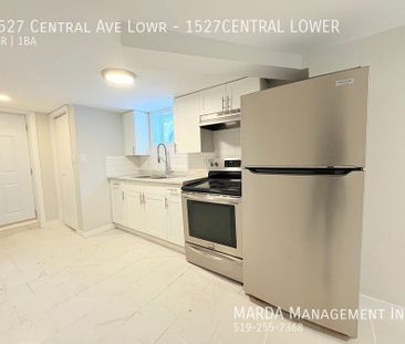 STYLISH NEWLY RENOVATED 2BEDROOM/1BATH LOWER UNIT+HYDRO - Photo 4