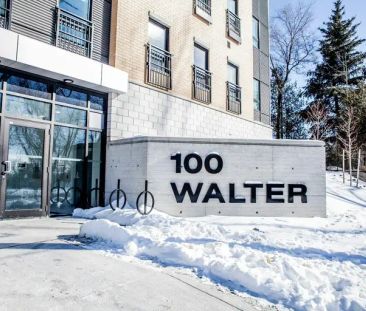 100 Walter Street | 100 Walter Street, Kitchener - Photo 1