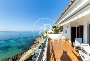 Flat for rent with Terrace in Port d’Alcúdia - Platja d'Alcúdia (Alcúdia)