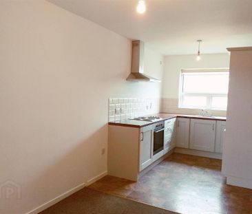 52 Toberkeagh Road, Coleraine, Bushmills, BT57 8YA - Photo 4