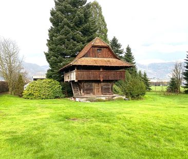 1 Zimmer, 1600 m² - Photo 5