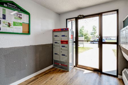 Renovated Suite - 1 Bedroom - Photo 2