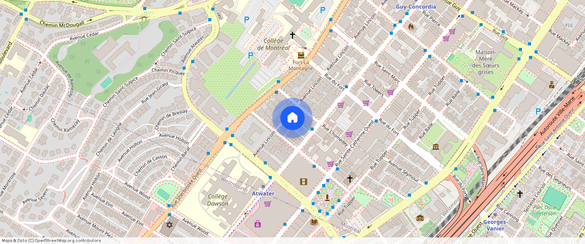 2170 Avenue Lincoln, Ville-Marie, Ville-Marie, Ile de Montréal, H3H 2N5