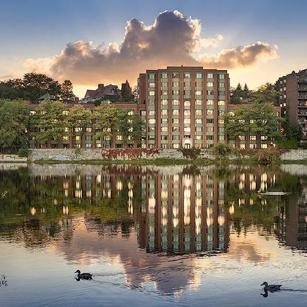 Furnished studio apartments available close to University of Ottawa - Photo 1