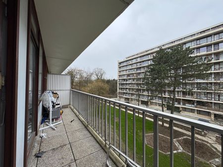 Alsemberg - Photo 5