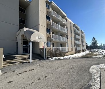 PRÈS DE TOUT À AYLMER-LOGEMENT 1CHAMBRE - Photo 3