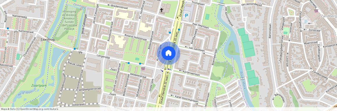 Graaf Hendrik III laan, Breda