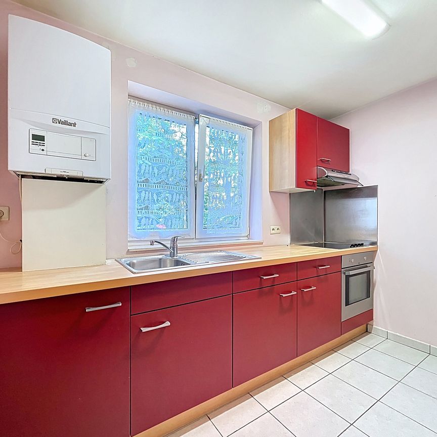 Gelijkvloerse verdieping met één slaapkamer in Péruwelz - Photo 1