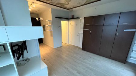 Bachelor Suite For Rent In Surrey/ Pets Allowed. - Photo 2