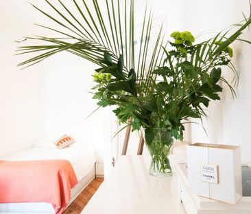 Calle de Jorge Juan, Madrid, Community of Madrid 28009 - Photo 4