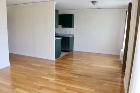 10050 Boul. de l'Acadie, Montréal - Photo 2