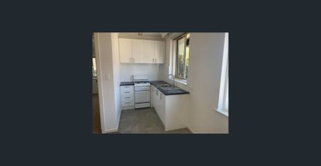 Open: Sat 6th Dec 11:45am - 12:00pm & Thu 11th Dec 11:15am - 11:30am - Photo 4