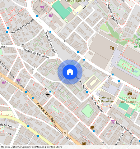 Avenue Collonges **, 1004 Lausanne