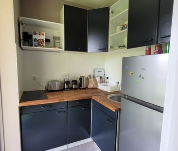 Location Appartement 1 pièce 25m² CROIX 59170 - Photo 4