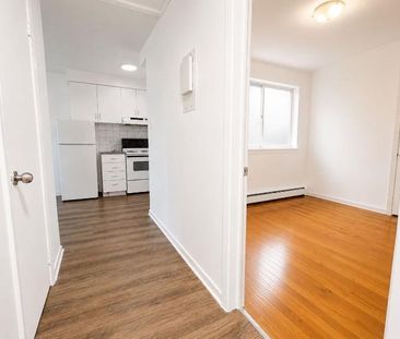 1 CH - 1 SDB - Montréal - $1,340 /mo - Photo 4
