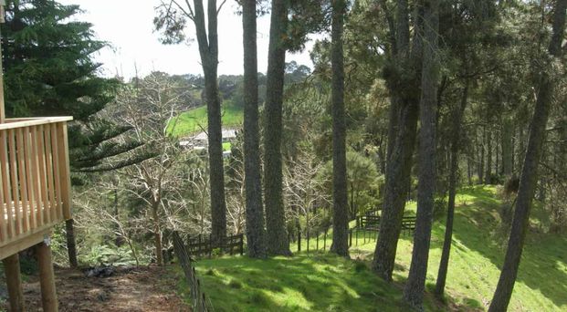 Private 1-Bedroom with all Conveniences - Photo 1