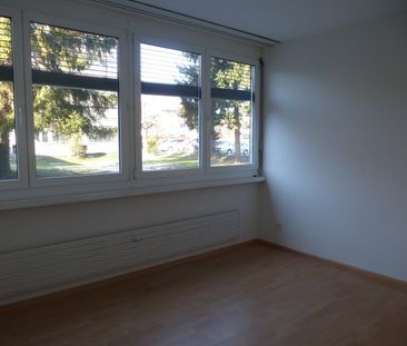 2 Zimmer, 46 m², EG - Foto 6