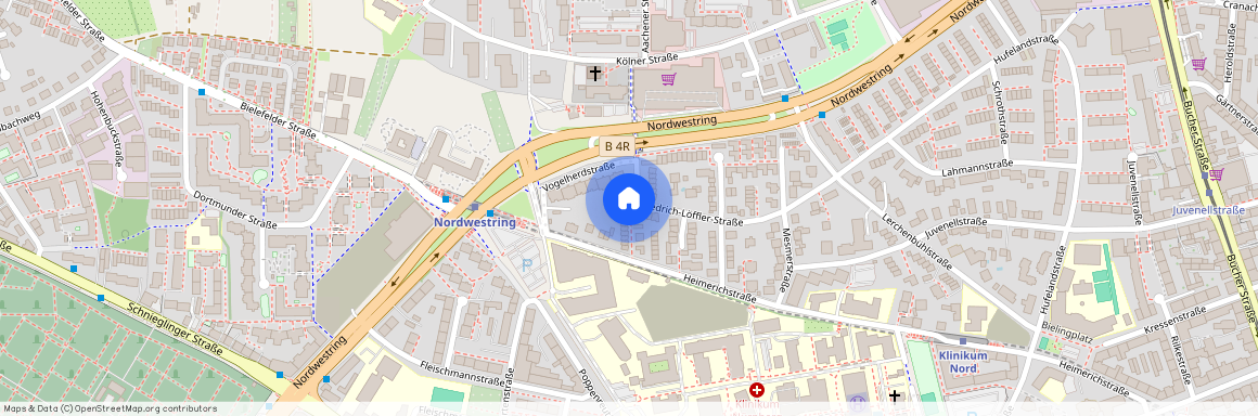 Friedrich-Löffler-Str. 47, 90419 Nürnberg (Mittelfr) - Mitte