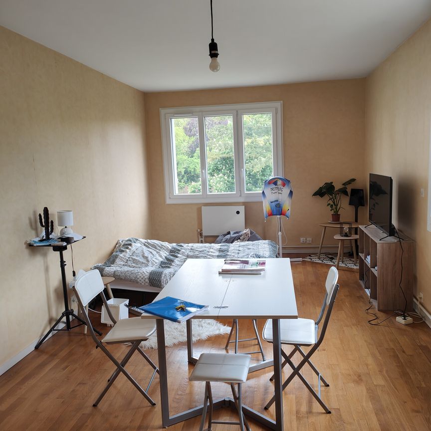 Location Appartement 1 pièce 37m² TALANT 21240 - Photo 1
