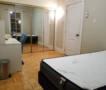 Grande Chambre à Louer En Colocation - Photo 3