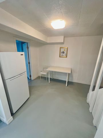 For Lease - 132 Pegasus Trail Unit# BSMT RM2, Toronto, Ontario - Photo 4