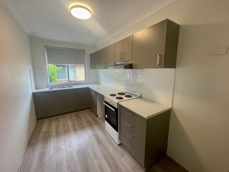 TOP FLOOR APARTMENT IN THE HEART OF ROSE BAY! - Photo 5