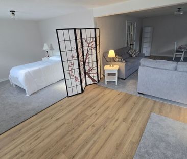 For Lease - 110 Milton Street Unit# Lower Level, Toronto, Ontario - Photo 5
