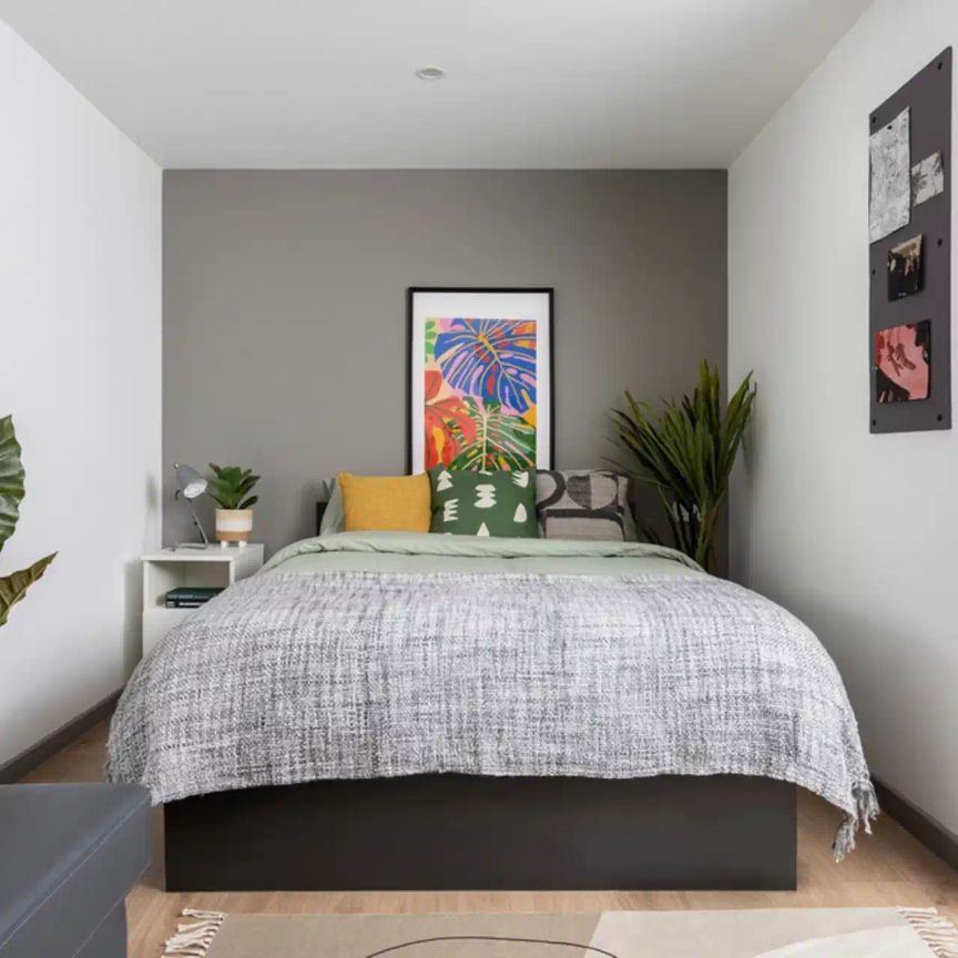 Large Standard Double Studio - Photo 1