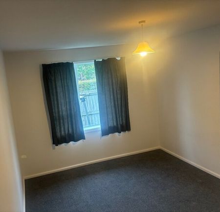 Creyke rd – Student Property – Ilam – 2 Bedrooms - Photo 3