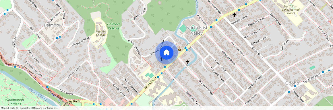 4 Buccleugh Street, North East Valley