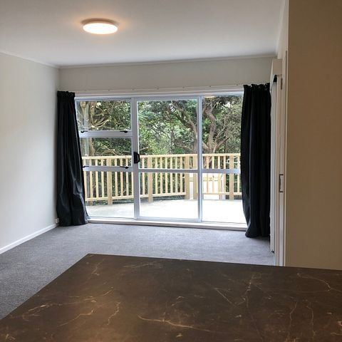 Sunny 2 bdr bottom flat close to Hataitai Village - Photo 1