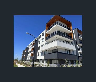 Modern 1-Bedroom Apartment in Prime Schofields Location - Photo 2