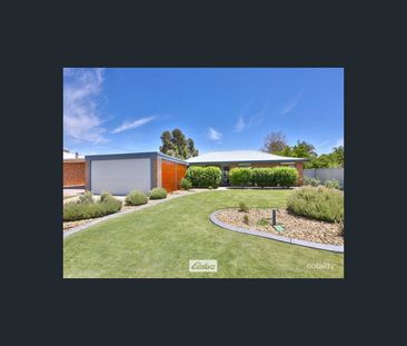 8 Hazeldene Street, Mildura, Vic 3500 - Photo 1
