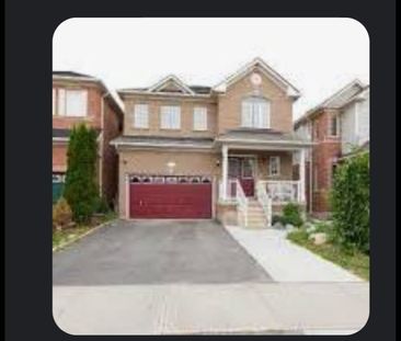 For Lease - 24 Spencer Drive Unit# Bsmt, Brampton, Ontario - Photo 4