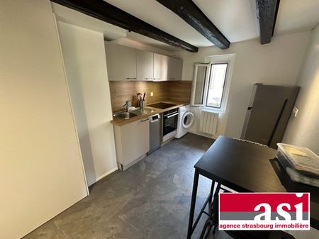 Robertsau : 3 Pièces Meublé Jardiniers - Photo 5