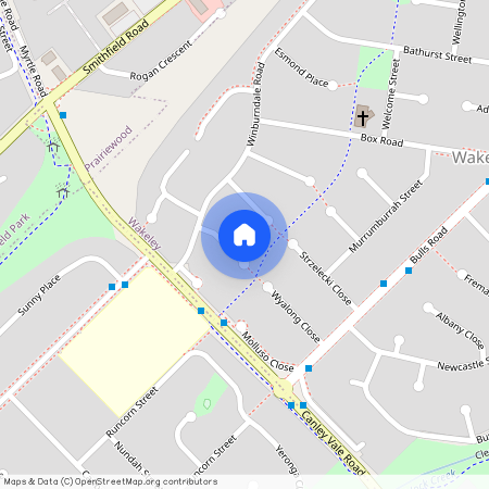 6 KIANDRA PL, NSW 2176, Wakeley