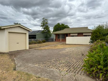 3 / 67 Mathews Street - Photo 5