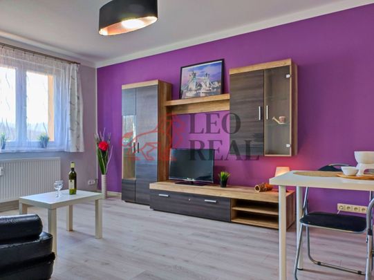 Pronájem bytu 2+1 54 m² - Photo 1
