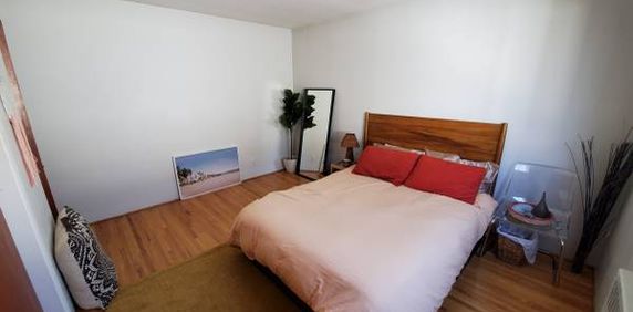 VIDEO TOUR! Pet Friendly Spacious Bright 1 bedroom available Sept 15! - Photo 2