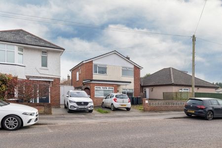 Large 6 Bed Student house Winton - Photo 3