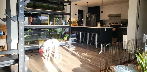 GRAND LOFT 3 1/2 - Photo 2