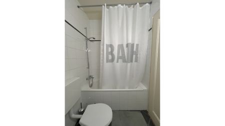 2 Zimmer-Wohnung in Genève - Plainpalais/Acacias, möbliert, auf Zeit - Photo 4