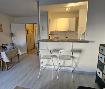 Location Appartement 1 pièce 28m² FONTAINEBLEAU 77300 - Photo 5