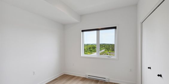 PURE - Photo 3