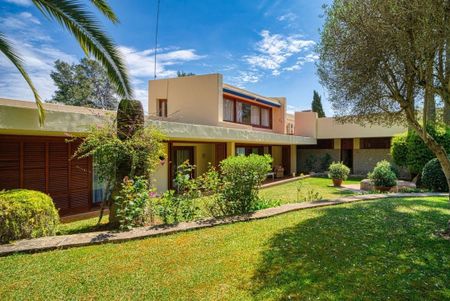 Palma de Mallorca, Balearic Islands 07013 - Photo 4